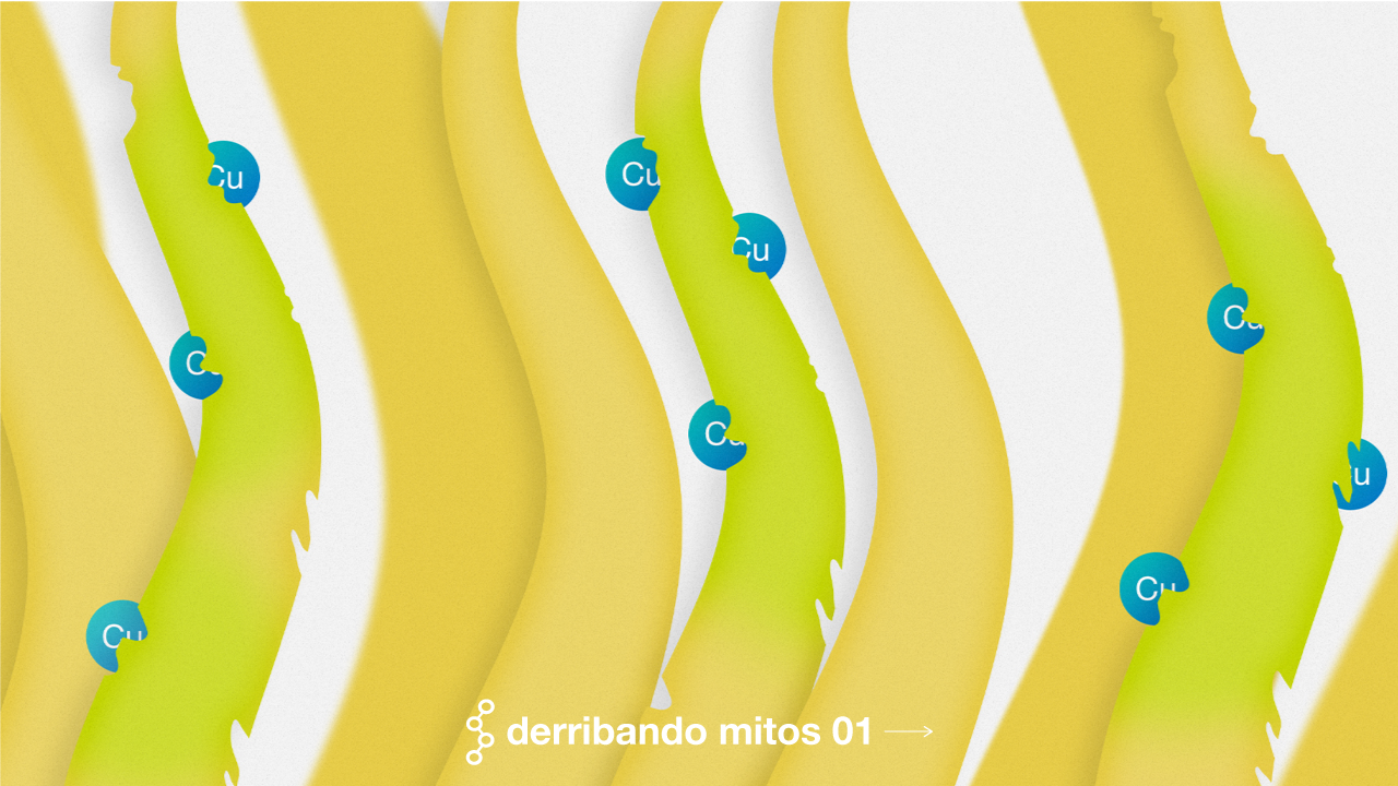 Derribando Mitos 01: cabello de nadador