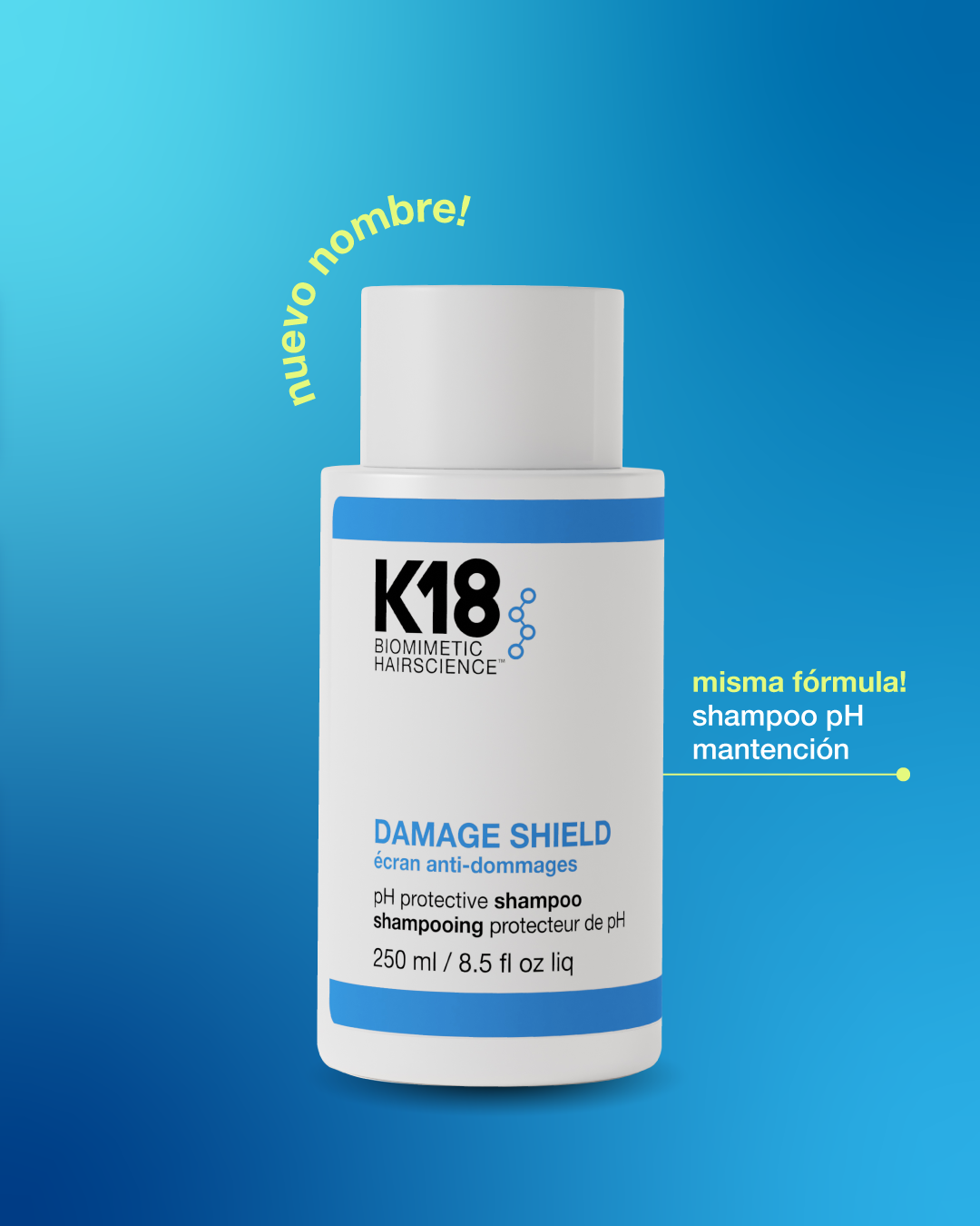 Shampoo protector de pH DAMAGE SHIELD